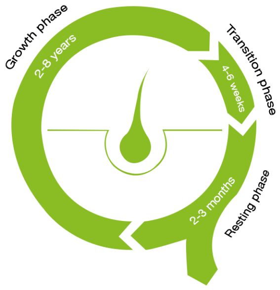 Cycle Liquid